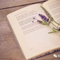 相約夏季，在奧邦邂逅書香